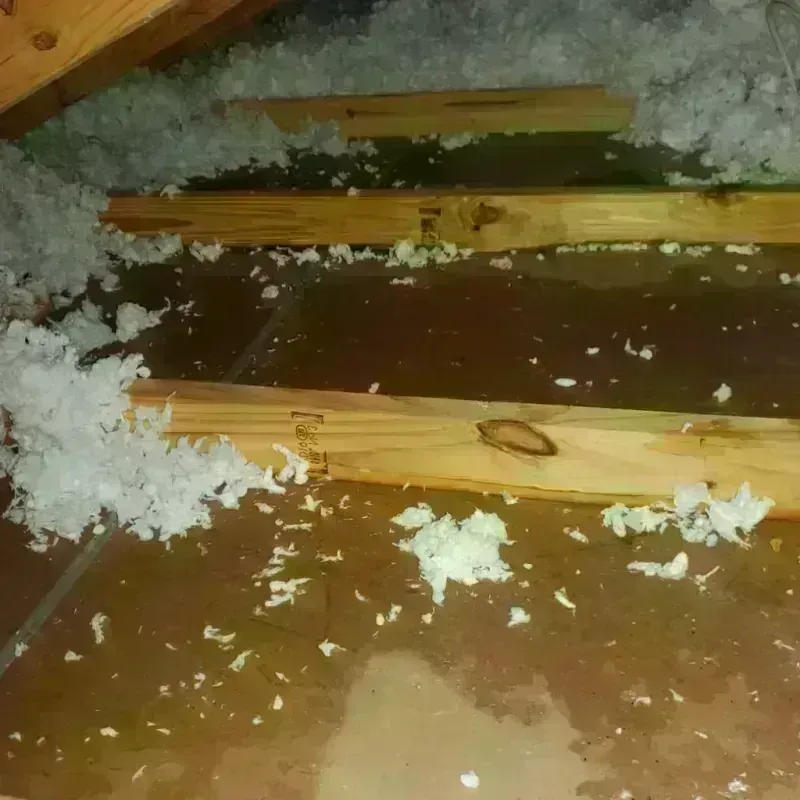 Attic Water Damage in Madisonville, TN